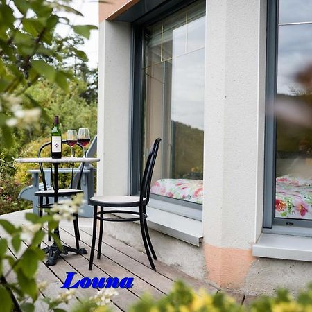 Appartements 5 Personnes Maya Et Louna Xonrupt-Longemer Buitenkant foto