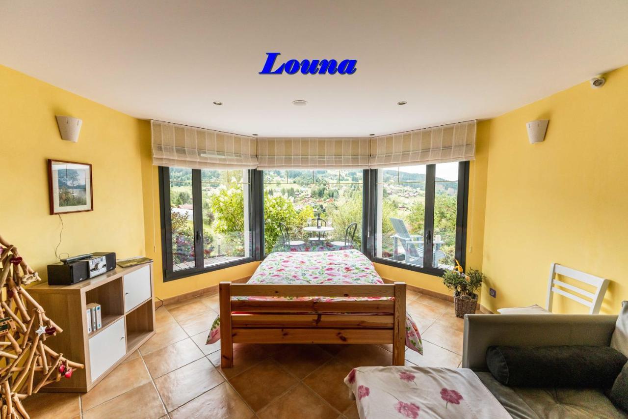 Appartements 5 Personnes Maya Et Louna Xonrupt-Longemer Buitenkant foto