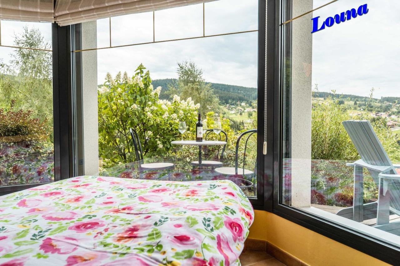 Appartements 5 Personnes Maya Et Louna Xonrupt-Longemer Buitenkant foto