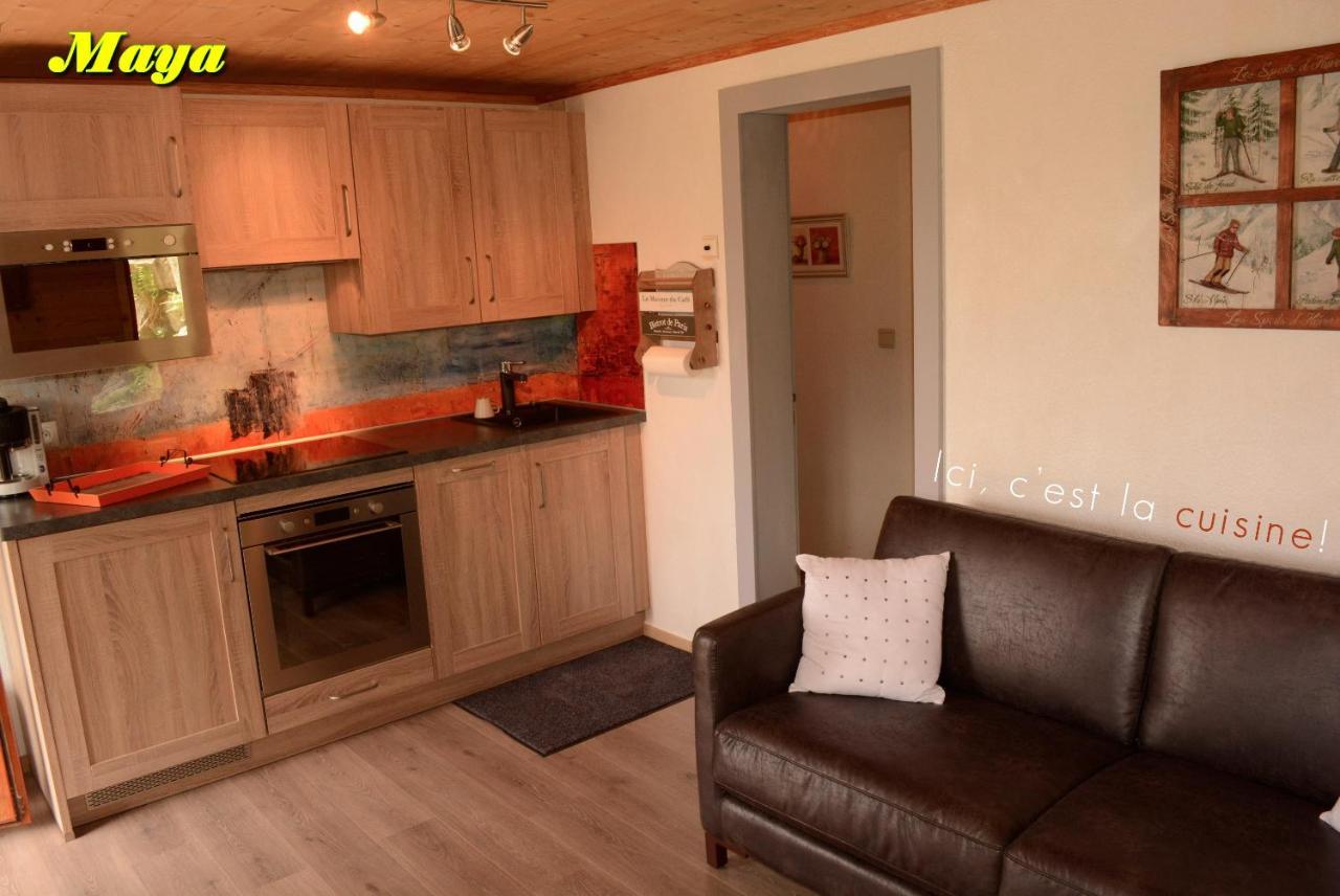 Appartements 5 Personnes Maya Et Louna Xonrupt-Longemer Buitenkant foto