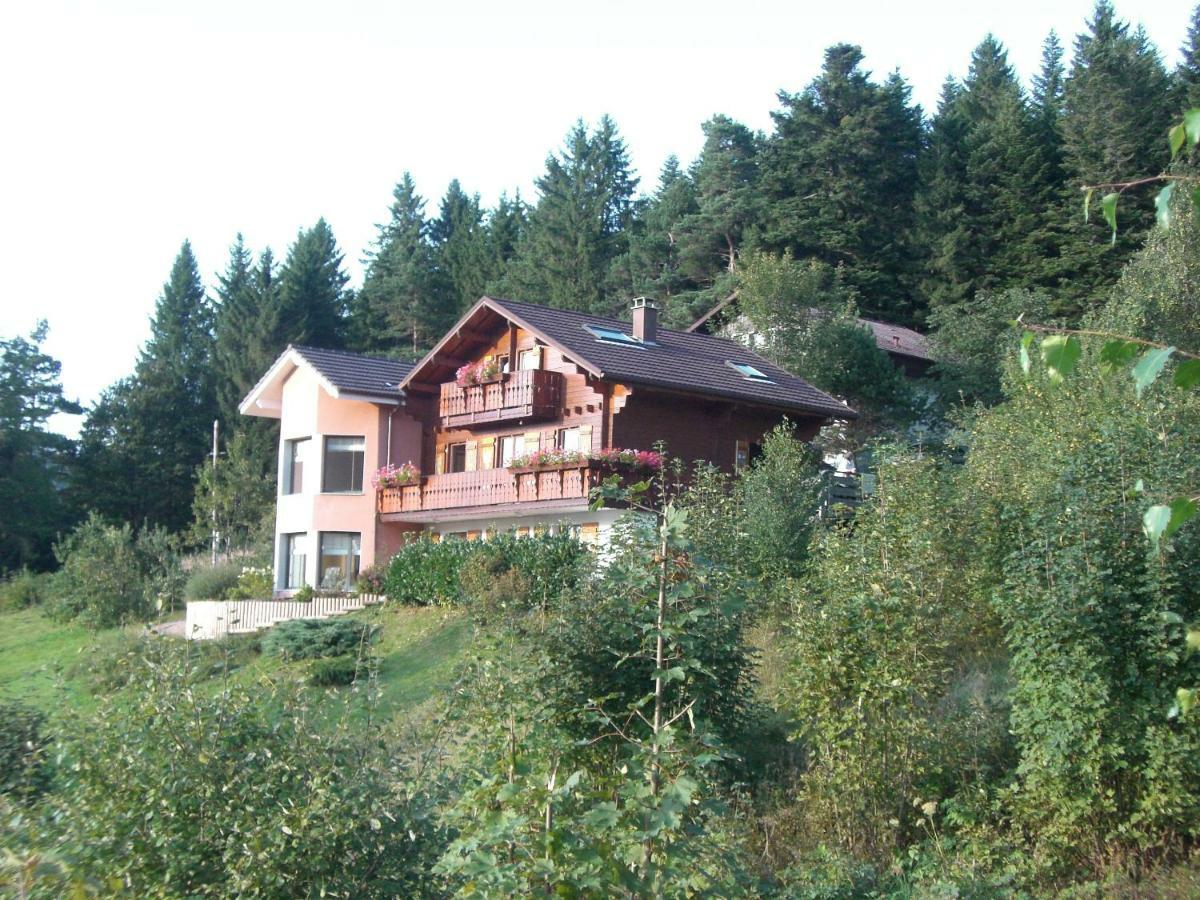 Appartements 5 Personnes Maya Et Louna Xonrupt-Longemer Buitenkant foto
