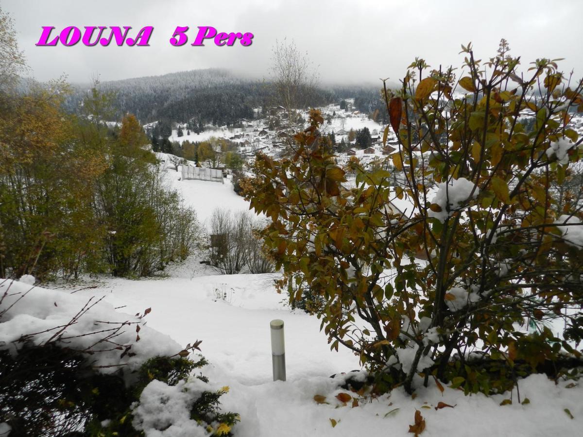 Appartements 5 Personnes Maya Et Louna Xonrupt-Longemer Buitenkant foto