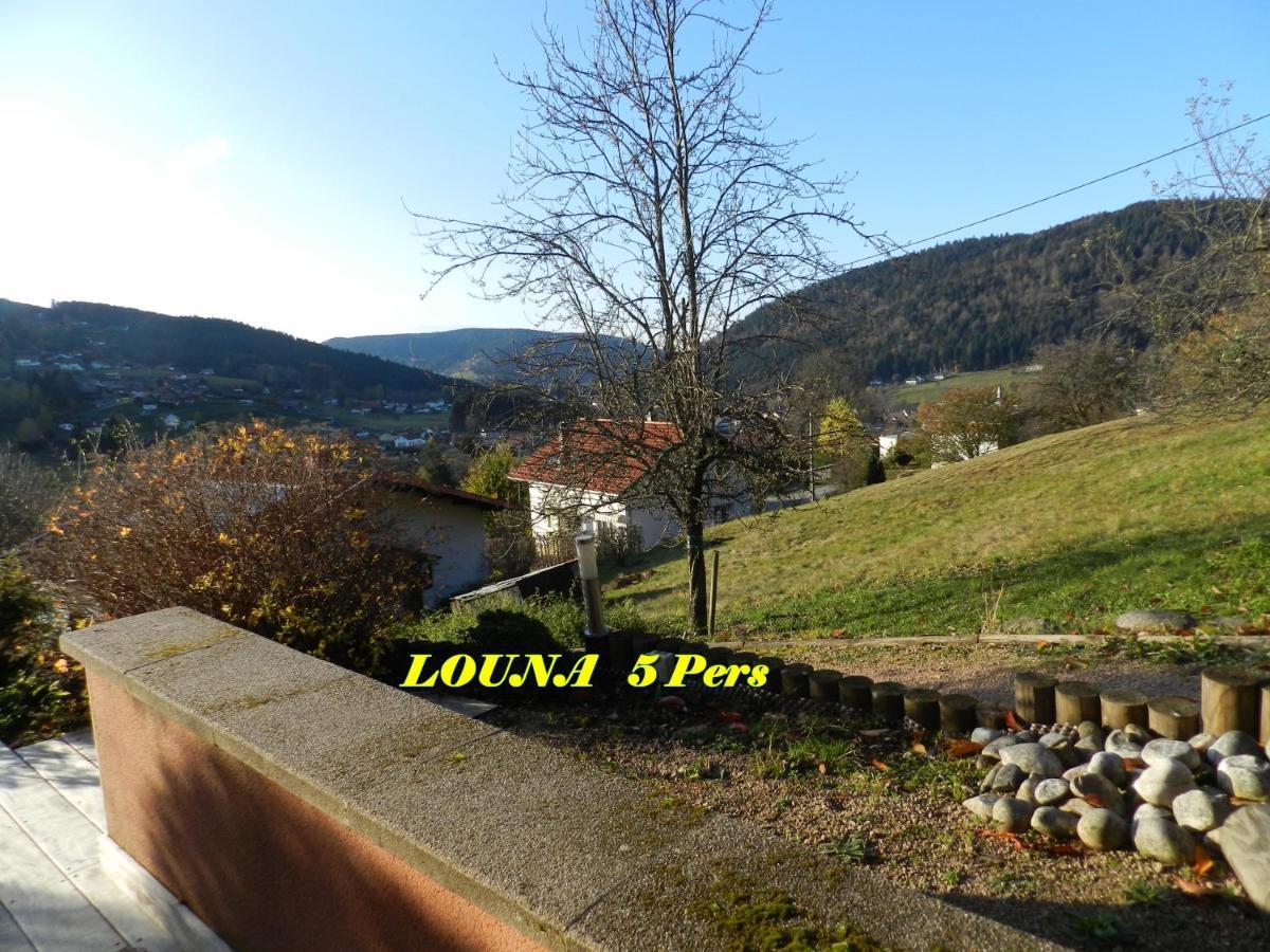 Appartements 5 Personnes Maya Et Louna Xonrupt-Longemer Buitenkant foto