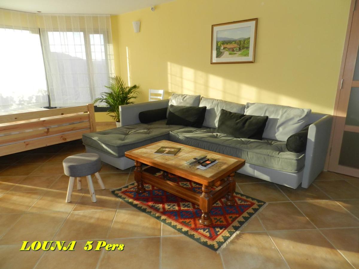Appartements 5 Personnes Maya Et Louna Xonrupt-Longemer Buitenkant foto