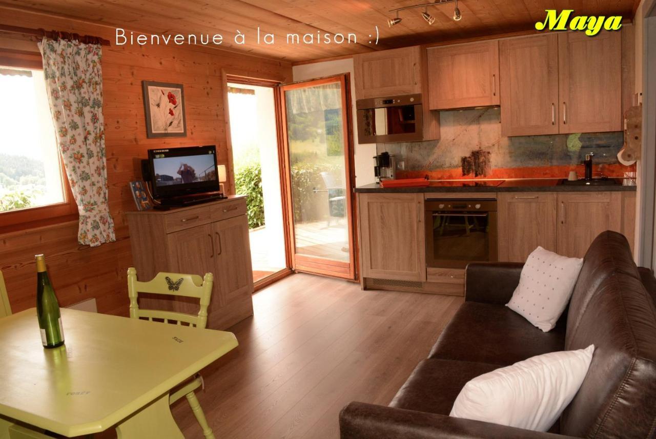 Appartements 5 Personnes Maya Et Louna Xonrupt-Longemer Buitenkant foto